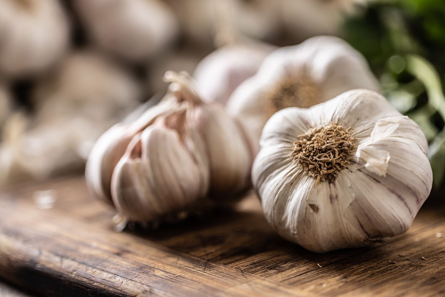 Know Benefits of Garlic for Heart Health and what not!