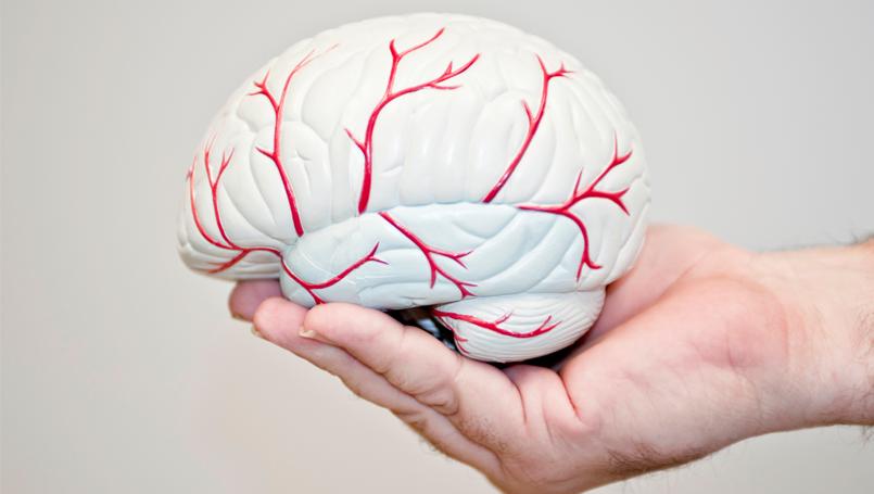 Neurologists And Stroke Prevention: What You Need To Know