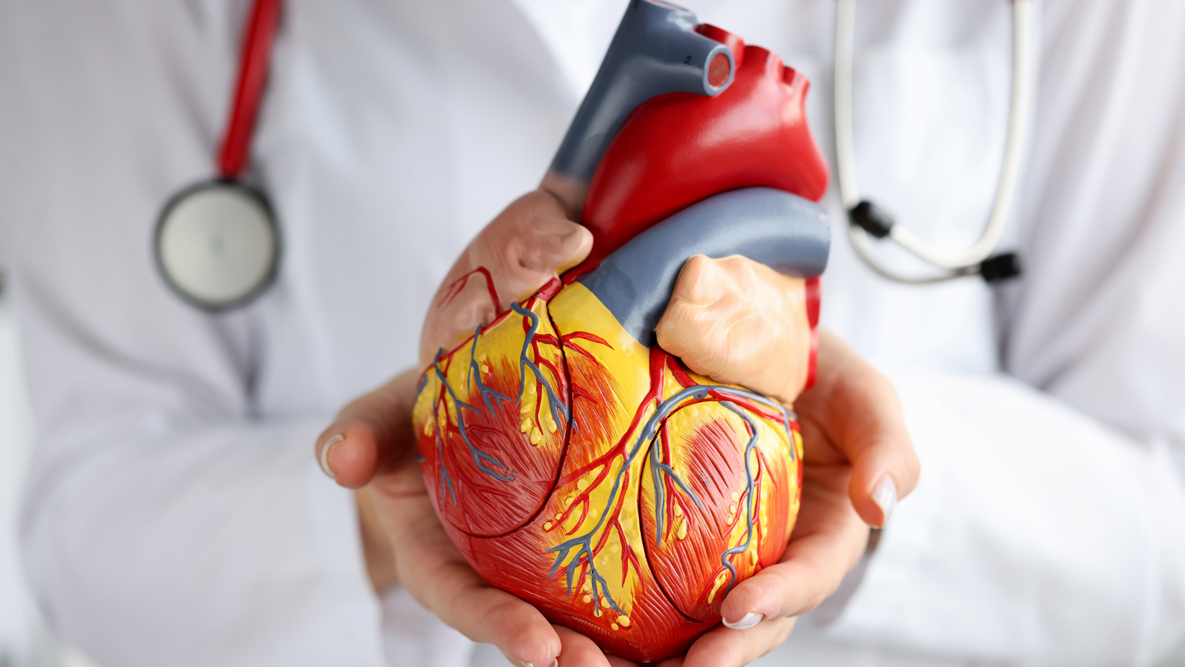 Understanding the Role of a Cardiologist in Heart Health