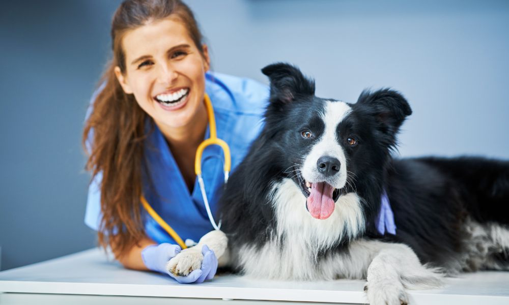 What to Expect During Your Pet’s Annual Veterinary Checkup